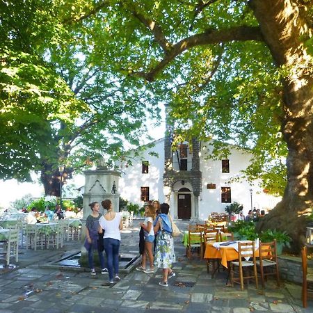 Aparthotel Archontiko Michael Pelion Vizitsa Esterno foto