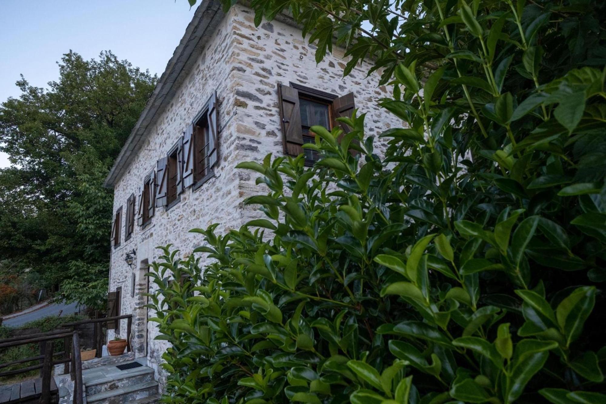 Aparthotel Archontiko Michael Pelion Vizitsa Esterno foto