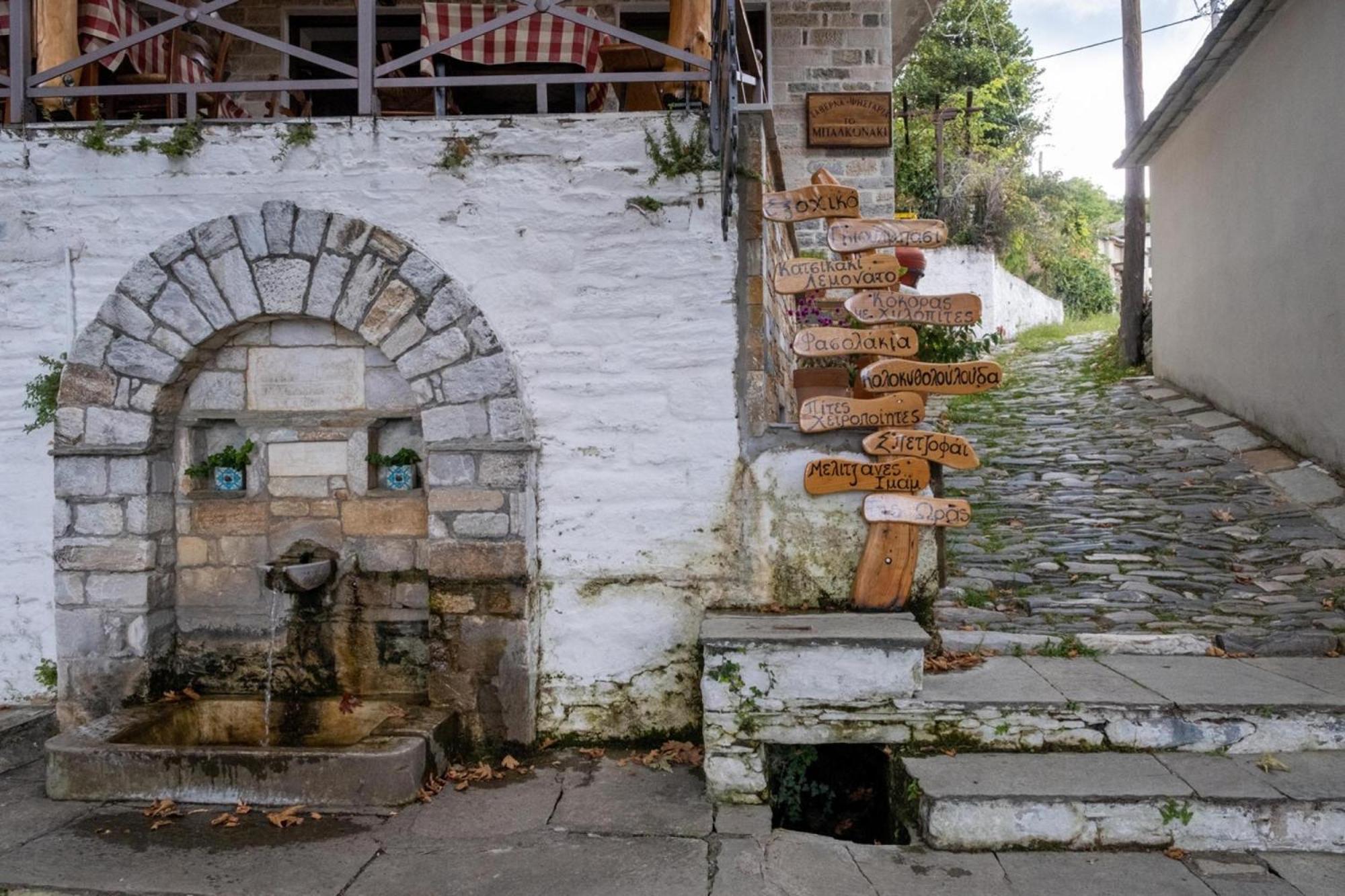 Aparthotel Archontiko Michael Pelion Vizitsa Esterno foto