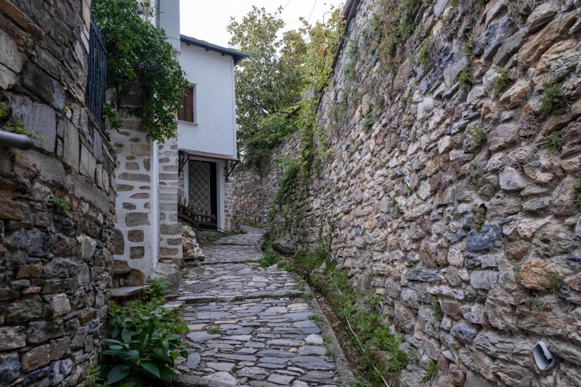 Aparthotel Archontiko Michael Pelion Vizitsa Esterno foto