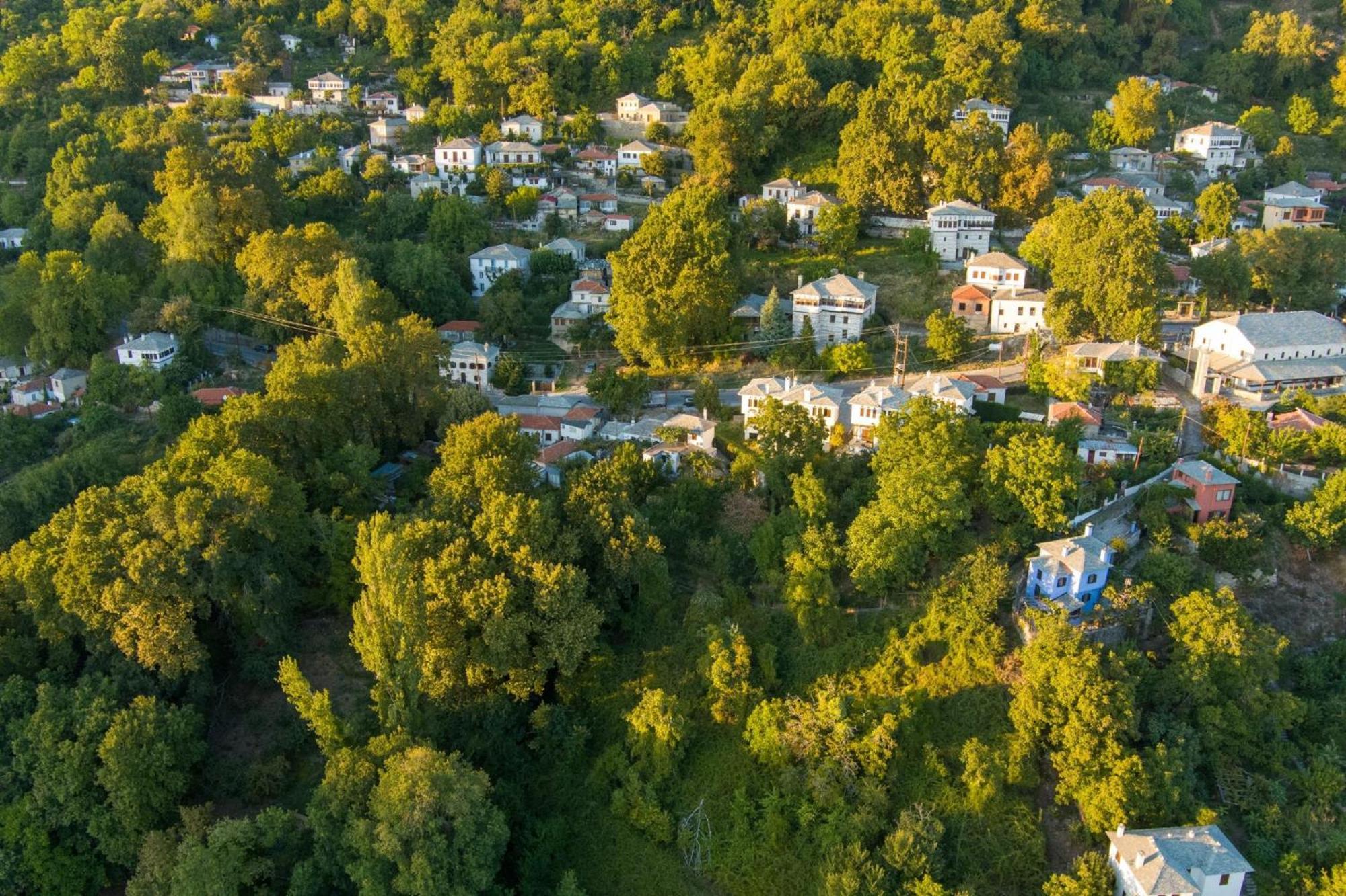 Aparthotel Archontiko Michael Pelion Vizitsa Esterno foto