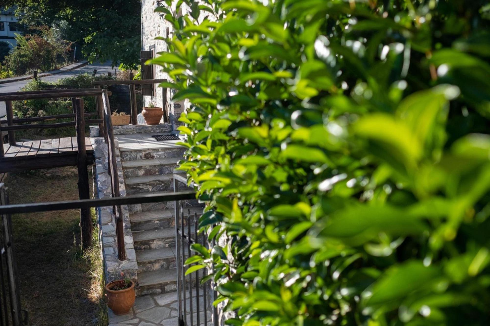 Aparthotel Archontiko Michael Pelion Vizitsa Esterno foto